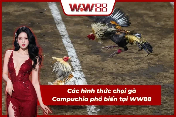 Nắm rõ các hình thức đá gà phổ biến tại nhà cái