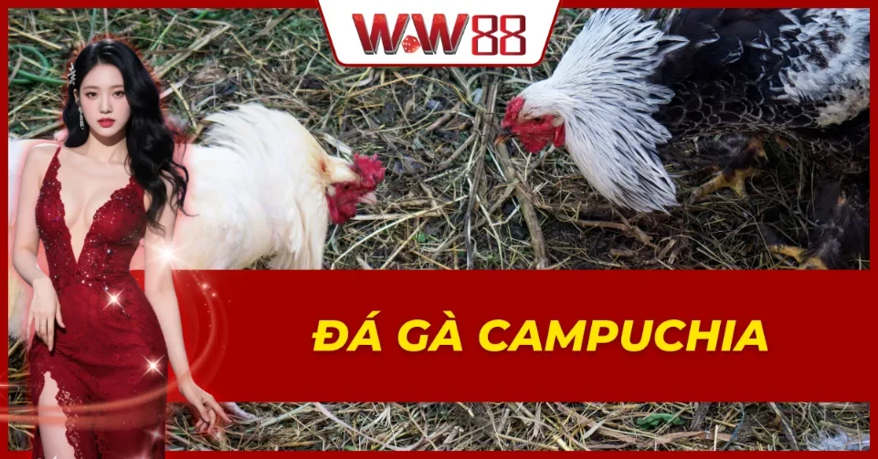 Đá Gà Campuchia
