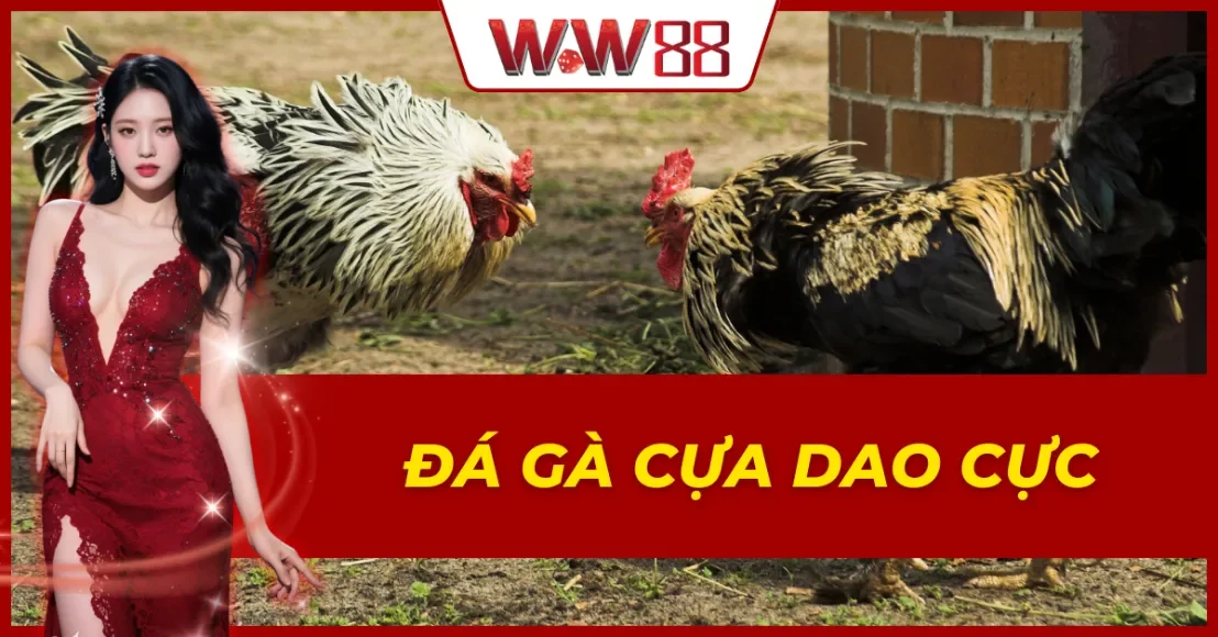 Đá Gà Cựa Dao